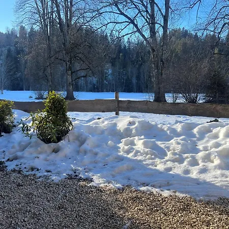Chalet In Near Slopes *