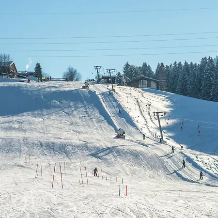 In Near Slopes *